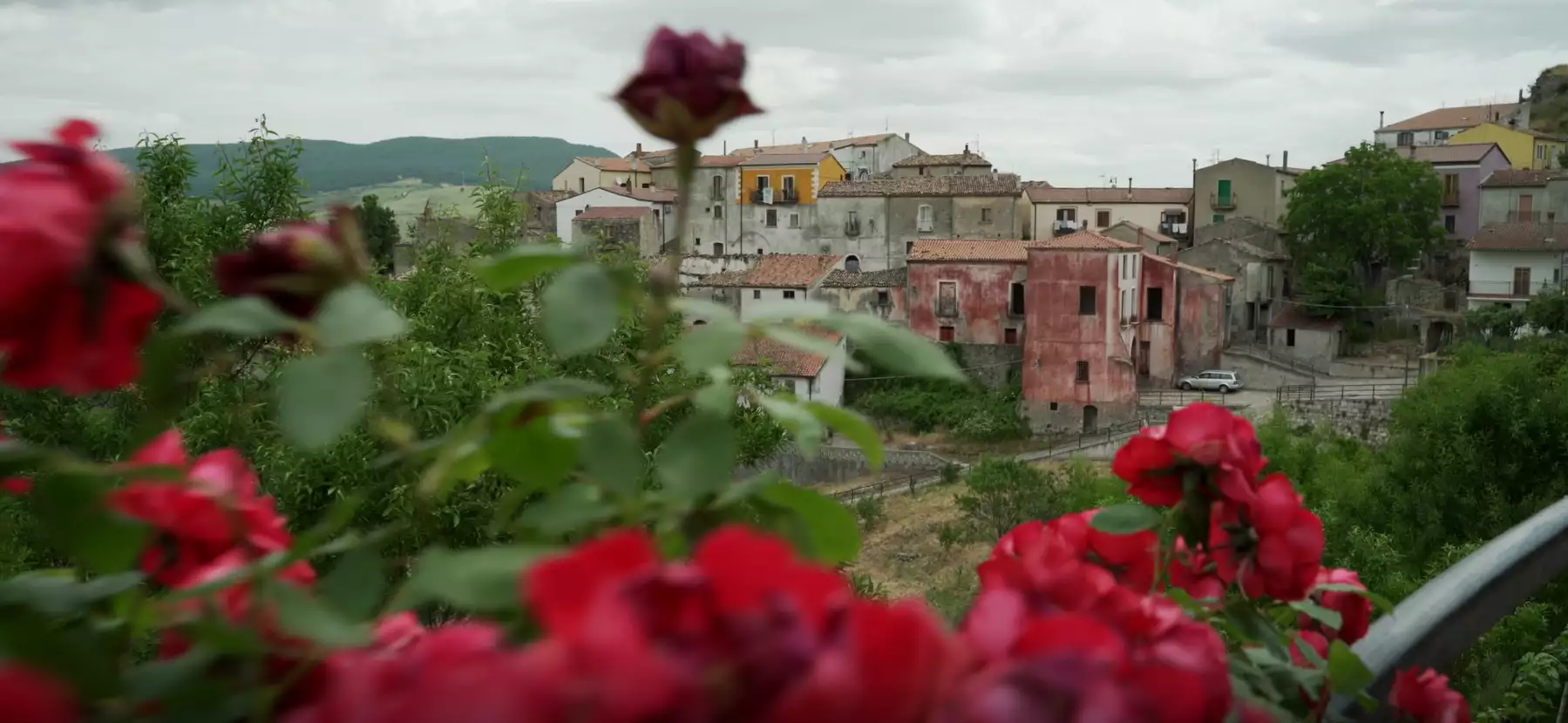 Un'immagine generica segnaposto con angoli arrotondati in una figura.